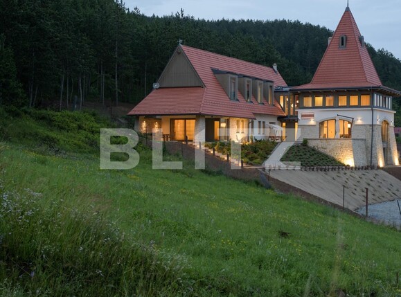 Casa de închiriat 6 camere Luna - 126038CI | BLITZ Cluj-Napoca | Poza16