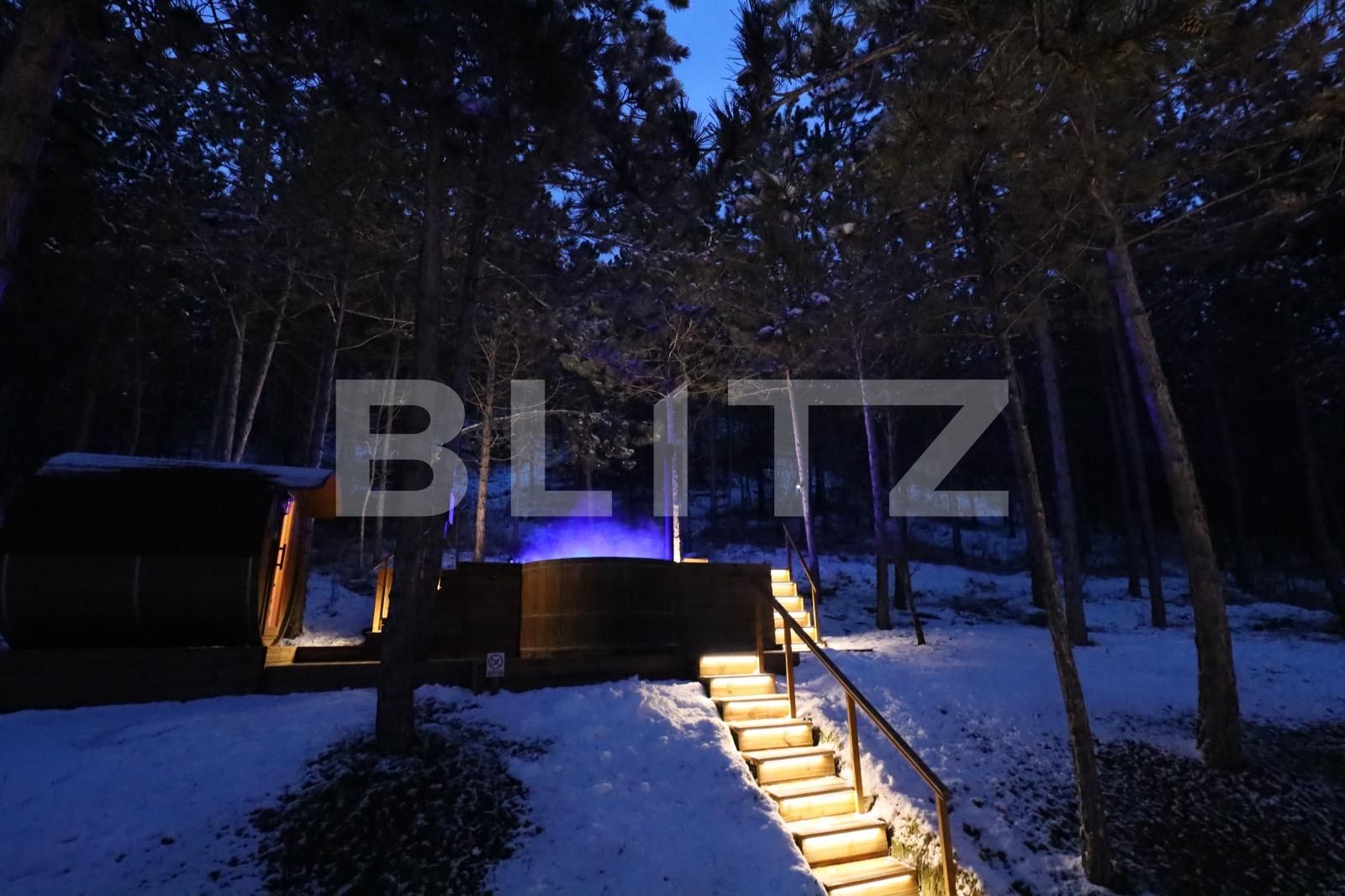 Casa de închiriat 6 camere Luna - 126038CI | BLITZ Cluj-Napoca | Poza14