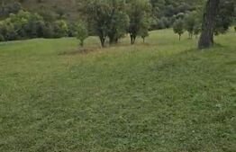 Teren intravilan, 11600 mp, posibilitate asociere / schimb, Suceagu