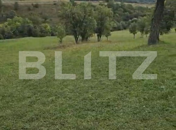 Teren de vânzare Suceagu - 126060TV | BLITZ Cluj-Napoca | Poza3