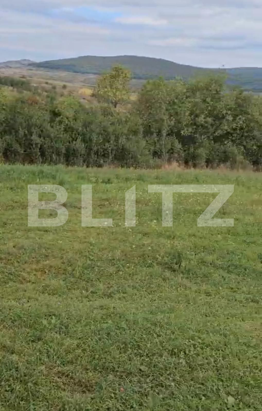 Teren de vânzare Suceagu - 126060TV | BLITZ Cluj-Napoca | Poza2