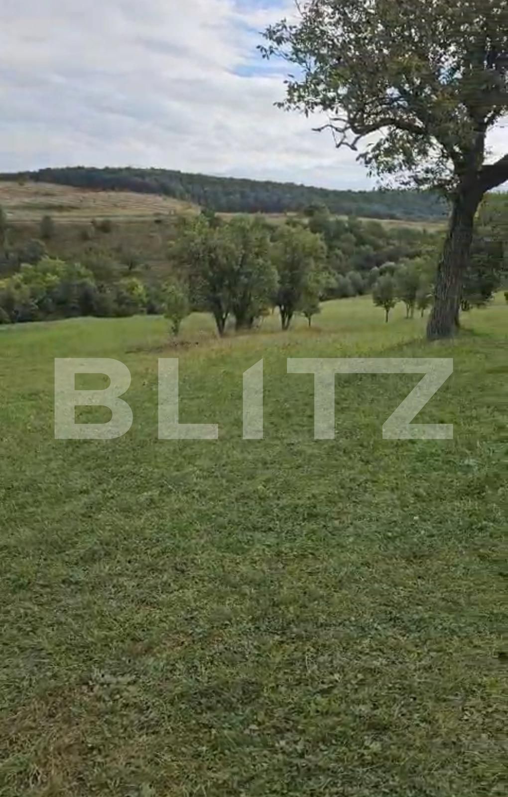 Teren de vânzare Suceagu - 126060TV | BLITZ Cluj-Napoca | Poza3