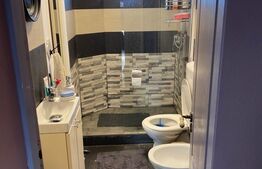 Casă deosebită cu 2 intrări, teren 550 mp, Prejmer