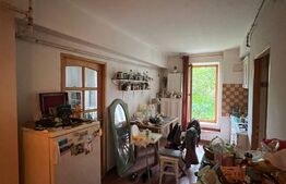 Apartament cu o cameră+grădină, 47mp, zonă Centrală