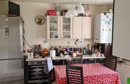 Duplex,  6 camere, 195 mp, balcon, Floresti