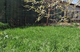 Duplex,  6 camere, 195 mp, balcon, Floresti