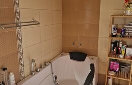 Duplex,  6 camere, 195 mp, balcon, Floresti