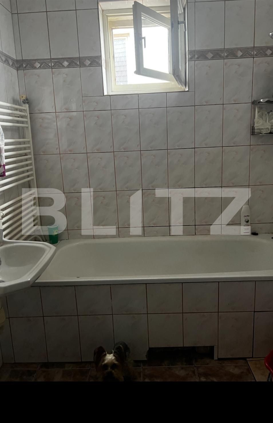 Casa de vânzare 4 camere Bună Ziua - 126169CV | BLITZ Cluj-Napoca | Poza5