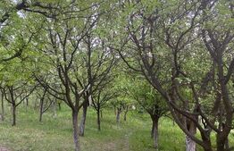 Casa 3 camere, 86 mp, teren, 800 mp, Iris 