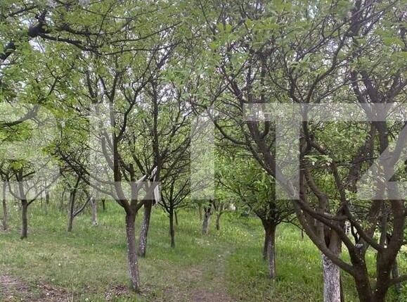 Casa de vânzare 1 camera Iris - 126178CV | BLITZ Cluj-Napoca | Poza1