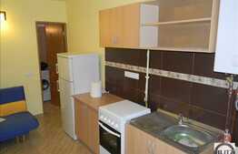 2 camere, 45 mp, mobilat modern, scara interioara, zona magazinului Central