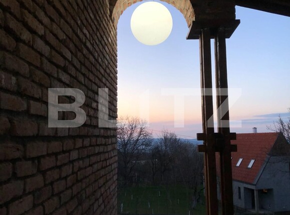 Casa de vânzare 4 camere Gheorghieni Sat - 126238CV | BLITZ Cluj-Napoca | Poza13