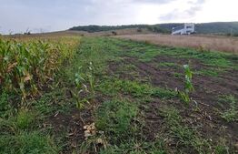 Teren intravilan, 3.400 mp, front la E81, Radaia