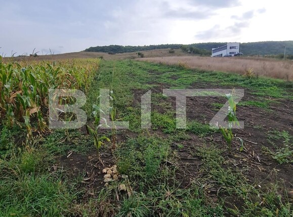 Teren de vânzare Radaia - 126240TV | BLITZ Cluj-Napoca | Poza1