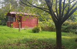  Oportunitate! Investiție! Casă finisata, 4 camere, complet utilata, 100mp, 1400 mp teren, comuna JUCU (Gădălin)