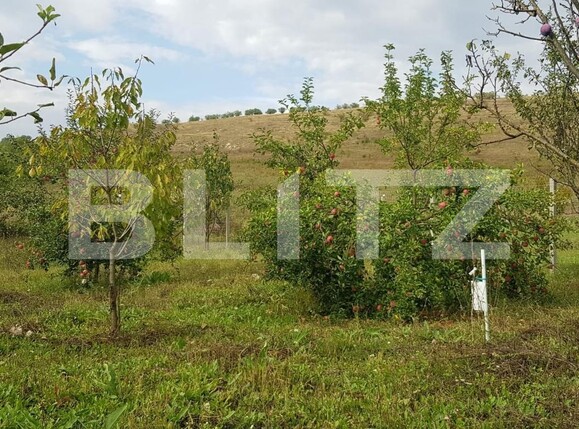 Casa de vânzare 4 camere Exterior Est - 126259CV | BLITZ Cluj-Napoca | Poza4