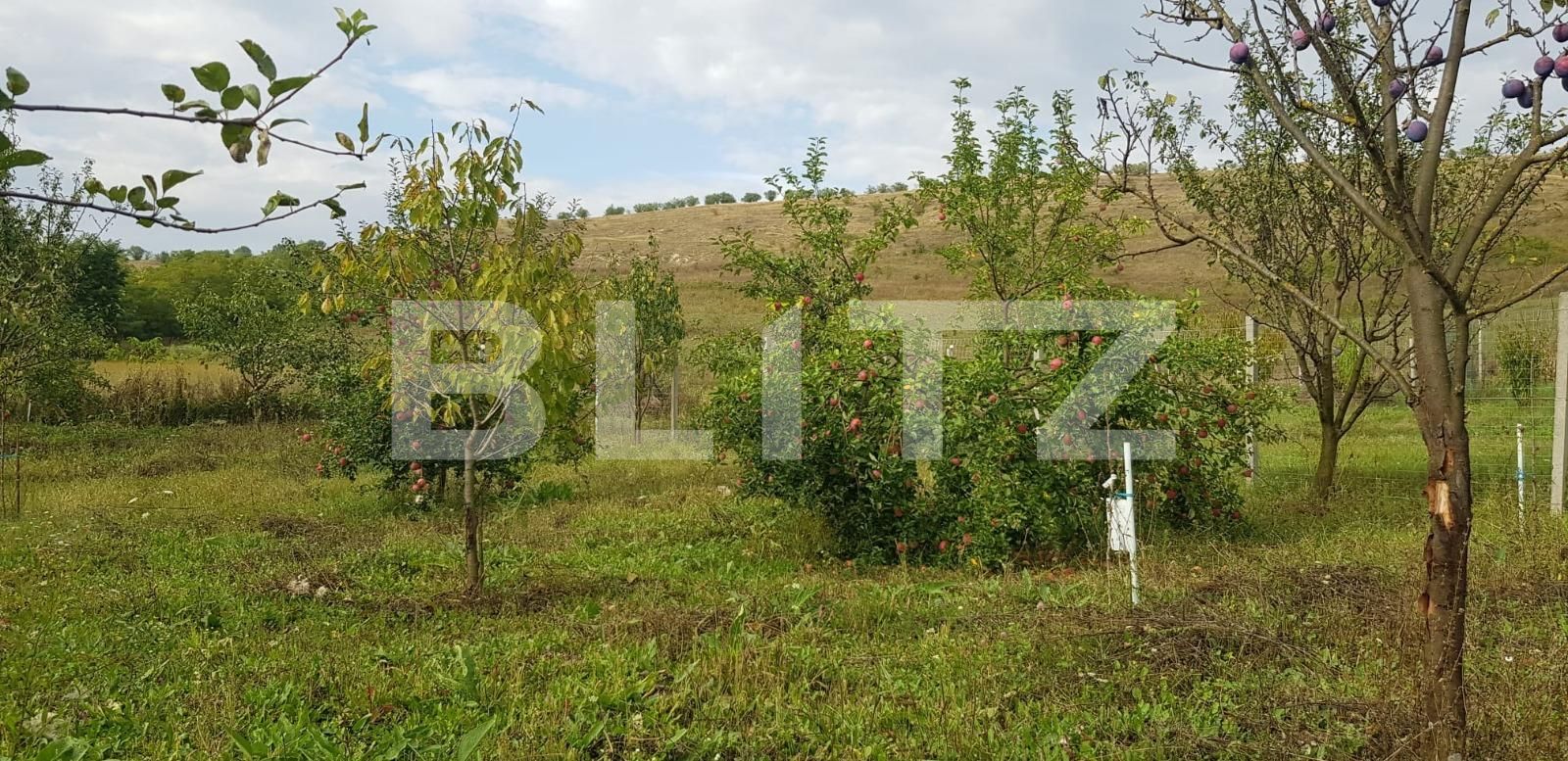 Casa de vânzare 4 camere Exterior Est - 126259CV | BLITZ Cluj-Napoca | Poza4