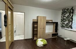 Apartament 2 camere, 37 mp, centrala termica, zona Parang