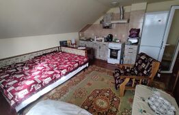 Casă 6 camere, 180 mp utili, 460 mp teren, pretabilă pensiune