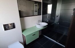 Apartament 3 camere la cheie, 82 mp, curte 60 mp, zona Europa