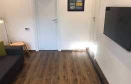 2 camere, 40 mp, totul nou, la prima inchiriere, zona Piata Muzeului!