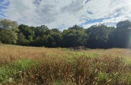 Teren intravilan, 1150 mp, Faget, Drumul Sf. Ion