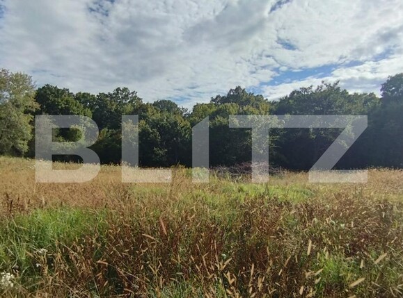 Teren de vânzare Făget - 126323TV | BLITZ Cluj-Napoca | Poza1