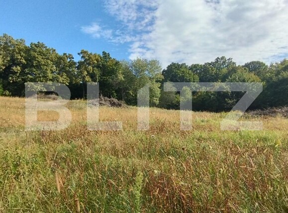 Teren de vânzare Făget - 126323TV | BLITZ Cluj-Napoca | Poza7