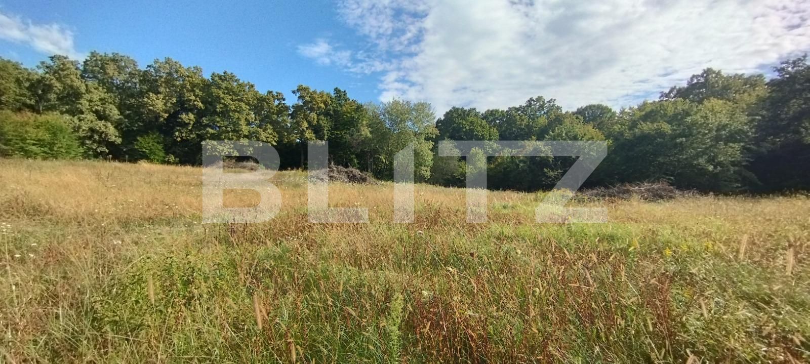 Teren de vânzare Făget - 126323TV | BLITZ Cluj-Napoca | Poza7