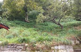 Casa in Rasnov, 90 mp2, teren 700mp.