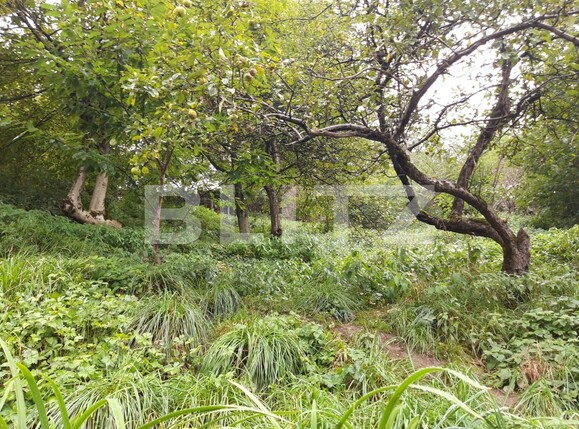 Casa de vânzare 3 camere Rasnov - 126349CV | BLITZ Brașov | Poza7