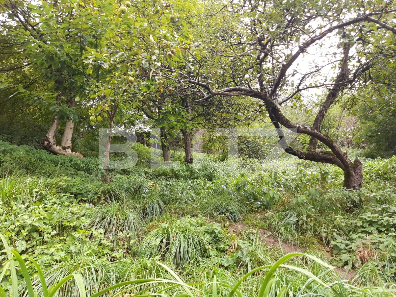 Casa de vânzare 3 camere Rasnov - 126349CV | BLITZ Brașov | Poza7