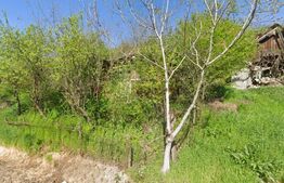 Casa demolabila 51mp, cu teren 900mp in Corpadea zona centrala