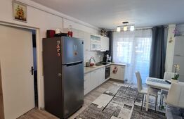Apartament cu 3 camere, mobilat si utilat, 66mp, 2 bai, parcare, zona Teilor