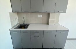 Garsoniera, 24mp, zona Uzina 2