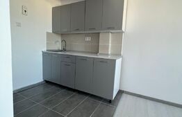 Garsoniera, 24mp, zona Uzina 2