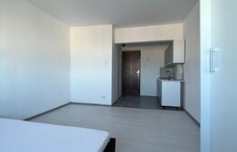 Garsoniera, 24mp, zona Uzina 2