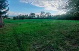 Casă cu 6 camere, 171mp utili, 6300mp teren, zona Budila