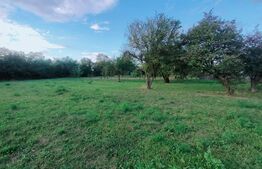 Casă cu 6 camere, 171mp utili, 6300mp teren, zona Budila