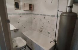 Casă cu 6 camere, 171mp utili, 6300mp teren, zona Budila