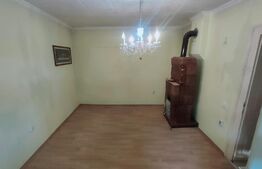 Casă cu 6 camere, 171mp utili, 6300mp teren, zona Budila