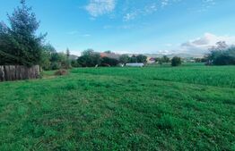 Casă cu 6 camere, 171mp utili, 6300mp teren, zona Budila