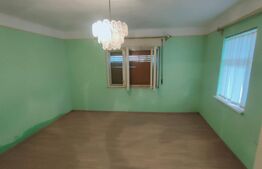 Casă cu 6 camere, 171mp utili, 6300mp teren, zona Budila