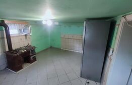 Casă cu 6 camere, 171mp utili, 6300mp teren, zona Budila