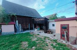 Casă cu 6 camere, 171mp utili, 6300mp teren, zona Budila