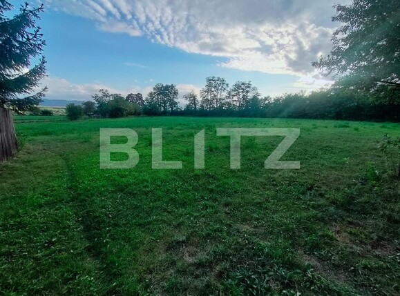 Casa de vânzare 6 camere Budila - 126418CV | BLITZ Brașov | Poza14