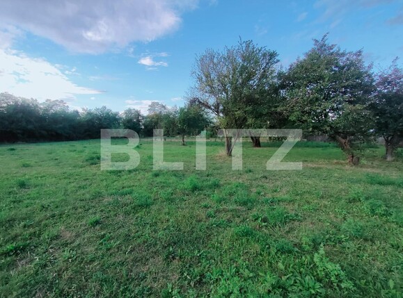 Casa de vânzare 6 camere Budila - 126418CV | BLITZ Brașov | Poza12