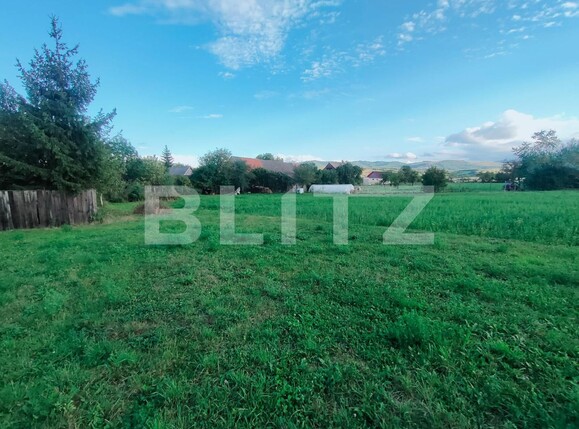 Casa de vânzare 6 camere Budila - 126418CV | BLITZ Brașov | Poza13