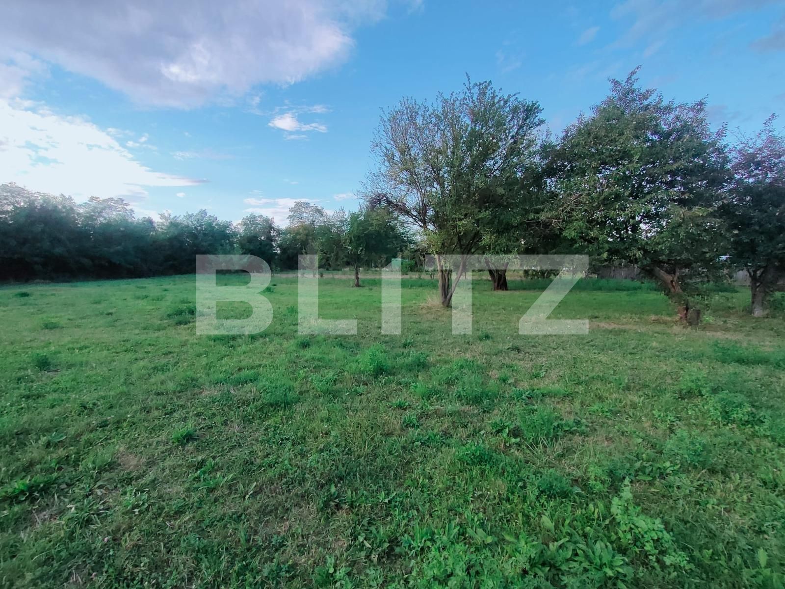 Casa de vânzare 6 camere Budila - 126418CV | BLITZ Brașov | Poza12