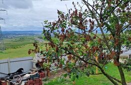 Casa 8 camere, 500 mp, teren, 500 mp, zona Cariera